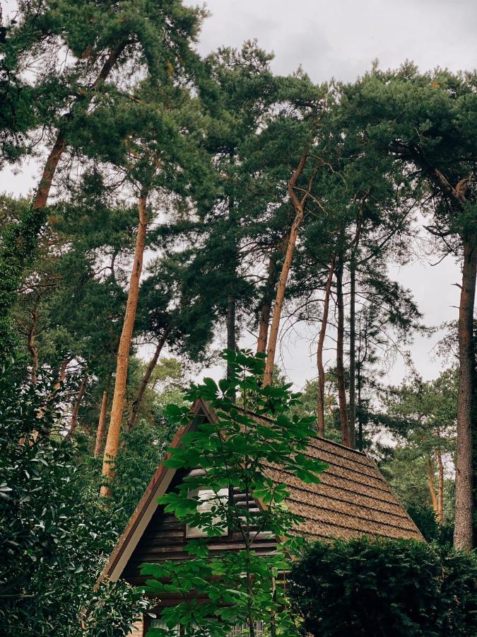 Vila Mimi'S Natuurhuisje Lanaken Exteriér fotografie