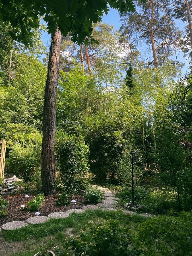 Mimi'S Natuurhuisje Lanaken Exteriér fotografie