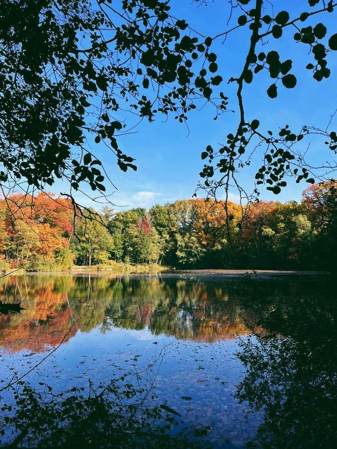 Mimi'S Natuurhuisje Lanaken Exteriér fotografie